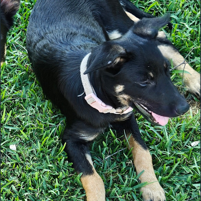 Photo of Angel
