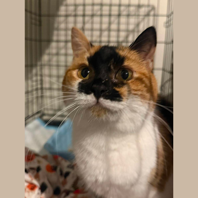 Photo of Little Miss Sunshine