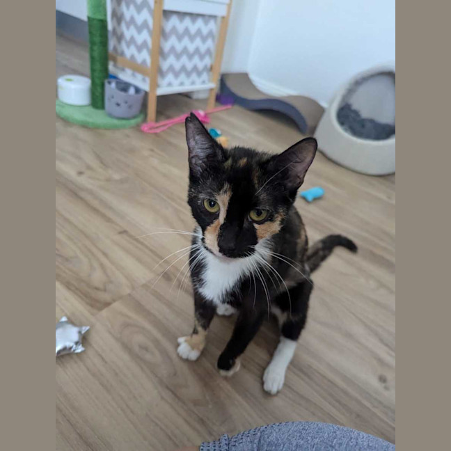 Photo of Trudy