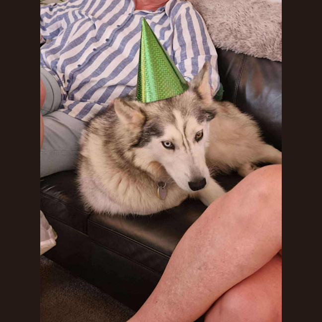 Photo of Ghost & Mirri