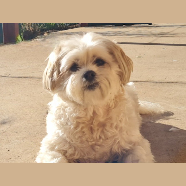 Photo of Molly Quinnell