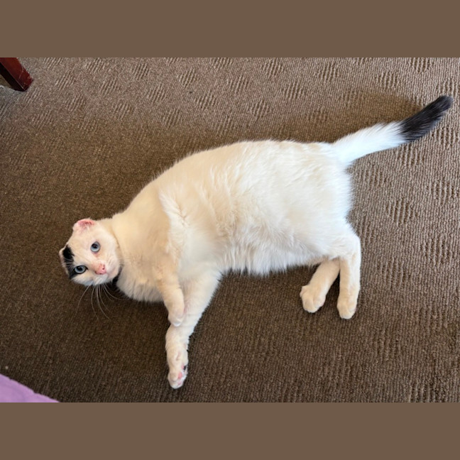 Photo of Jenny