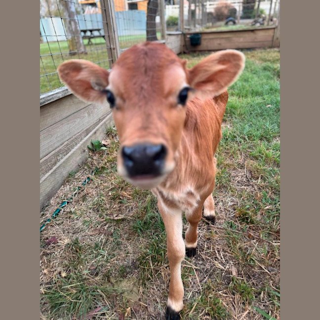 Photo of Lyal And Malu