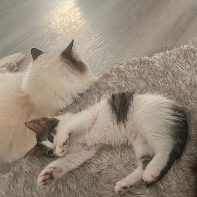 Photo of Audrey 💕