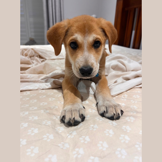 Photo of Major