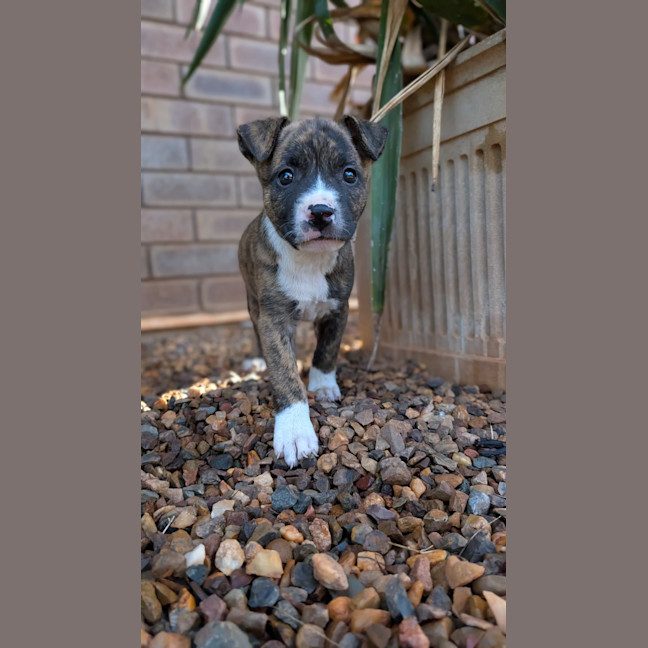 Photo of Jive