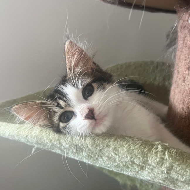 Photo of Audrey 💕