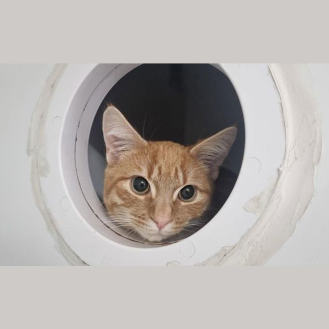 Photo of Monty