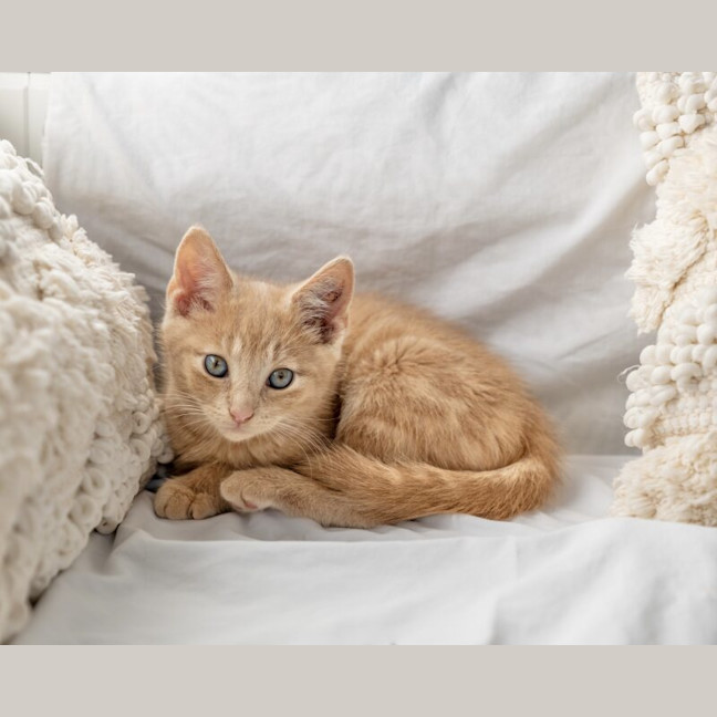 Photo of Bingo