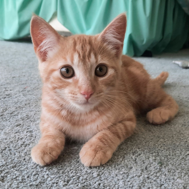 Photo of Jackson & Malakai   Located In Albert Park