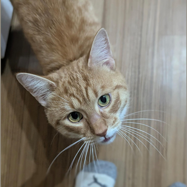 Photo of Simon