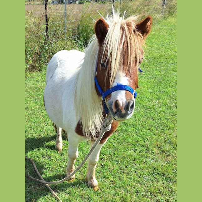 Photo of Lady And Bomber