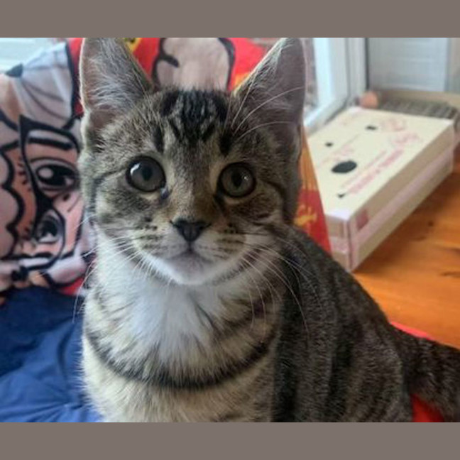 Photo of Sora Luna 