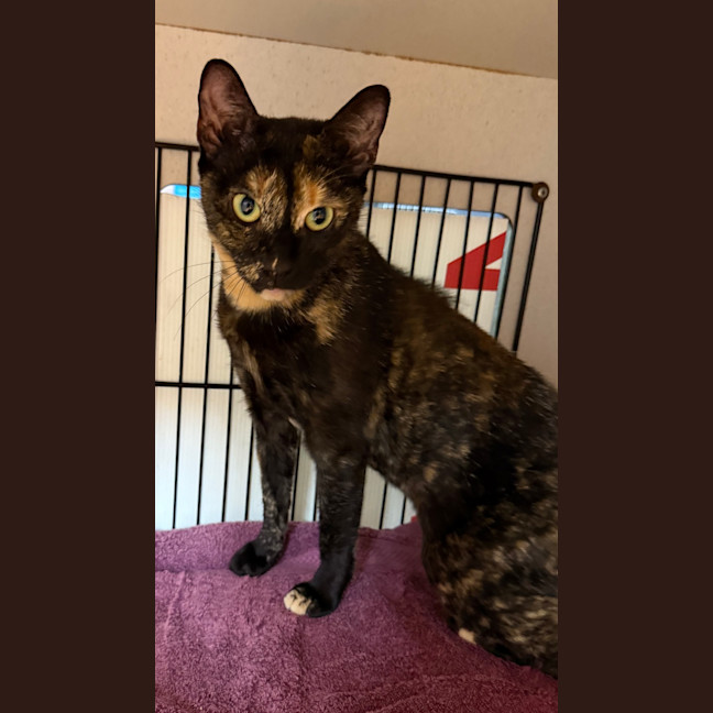 Photo of Kiki