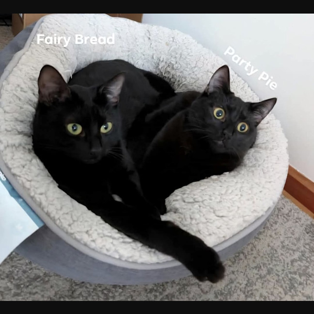 Photo of Fairy Bread