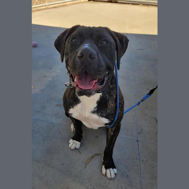 Photo of Mickey Cash