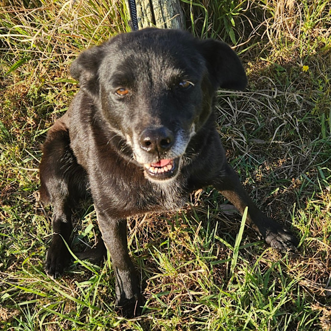 Photo of Zoe