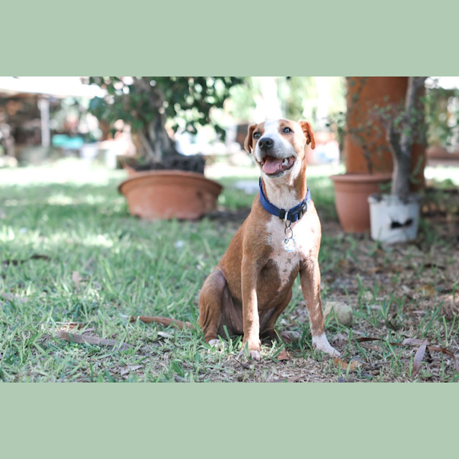 Photo of Gertie