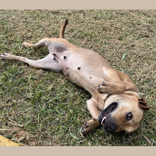 Photo of Sunny