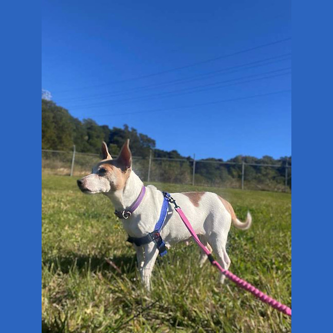 Photo of Jessie