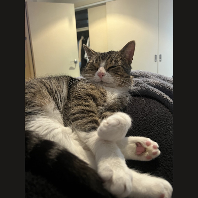 Photo of Reggie