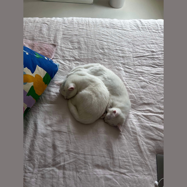 Photo of Parsnip & Yam