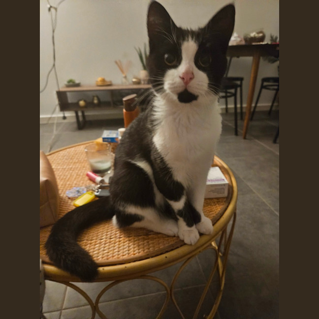 Photo of Jasper Picton