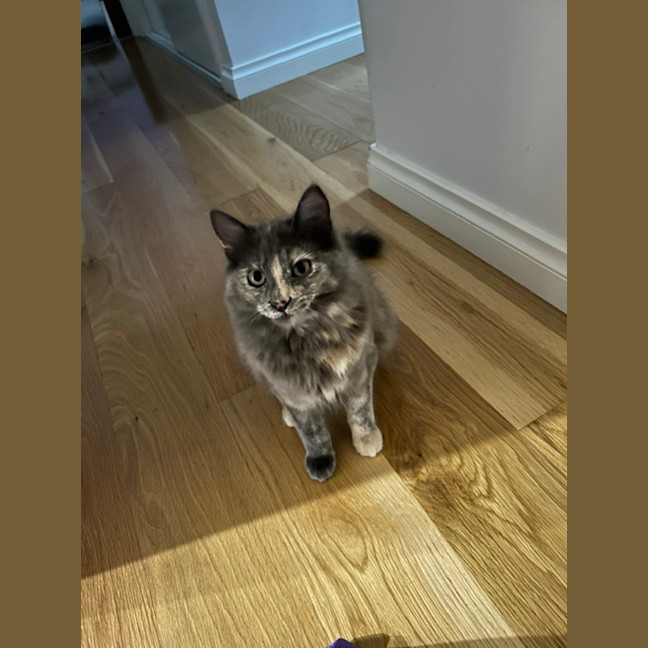 Photo of Riley