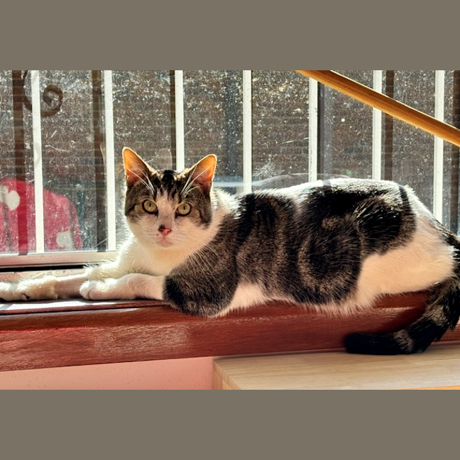 Photo of Asher