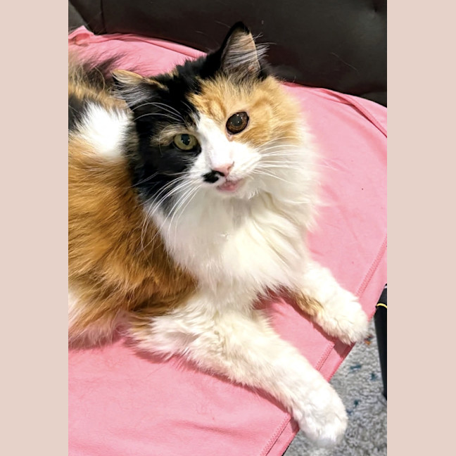 Photo of Beatrice Sta014369