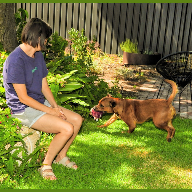 Photo of Princess (Prinny)