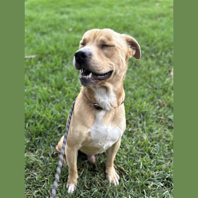 Photo of Arthur