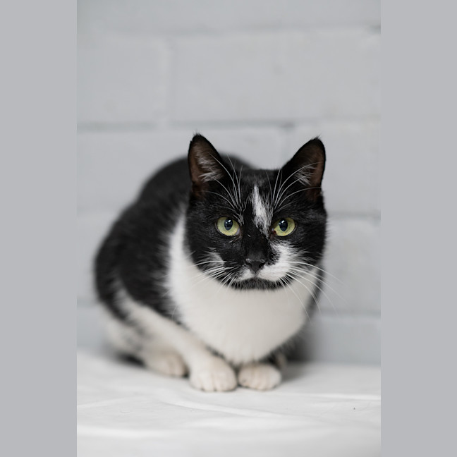 Photo of Morticia