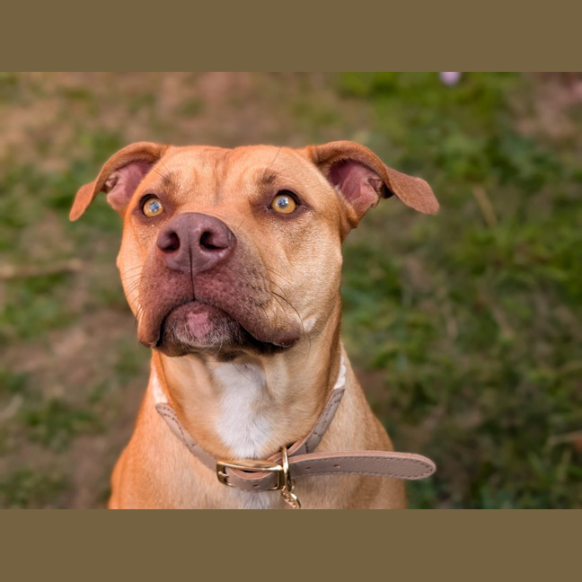 Photo of Malley 