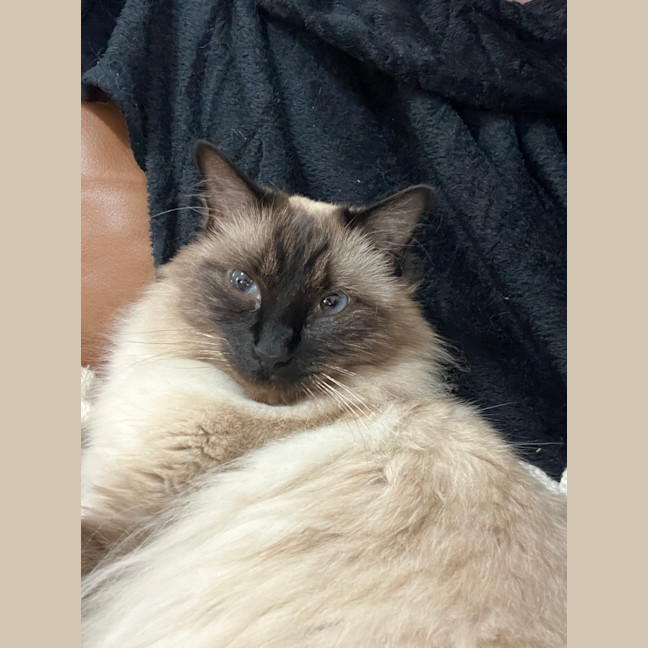 Photo of Kayla