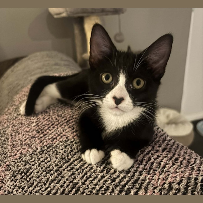 Photo of Luca