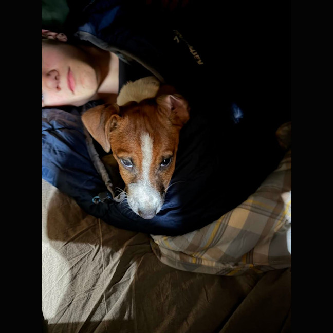 Photo of Bobby