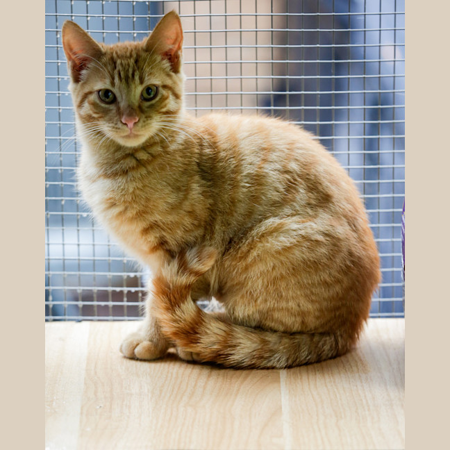 Photo of Larry (Miss)