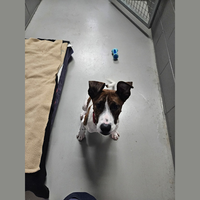 Photo of Maggie