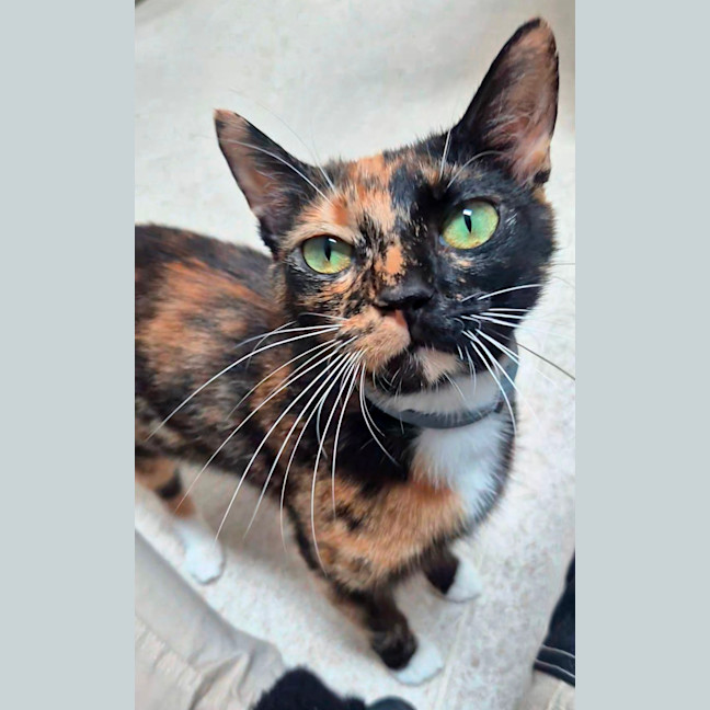 Photo of Faye (8925)