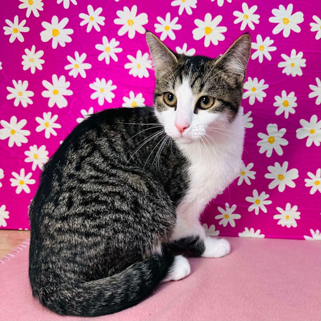 Photo of Jemma   Located In Brunswick East