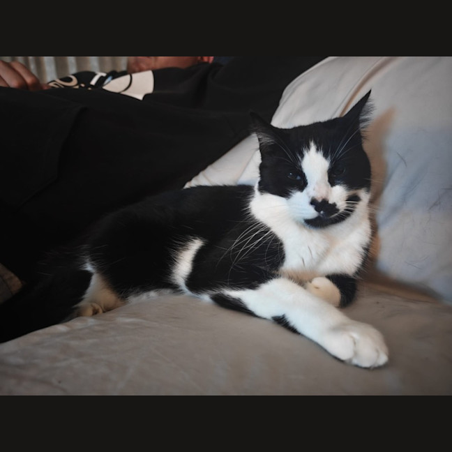 Photo of Theodore 
