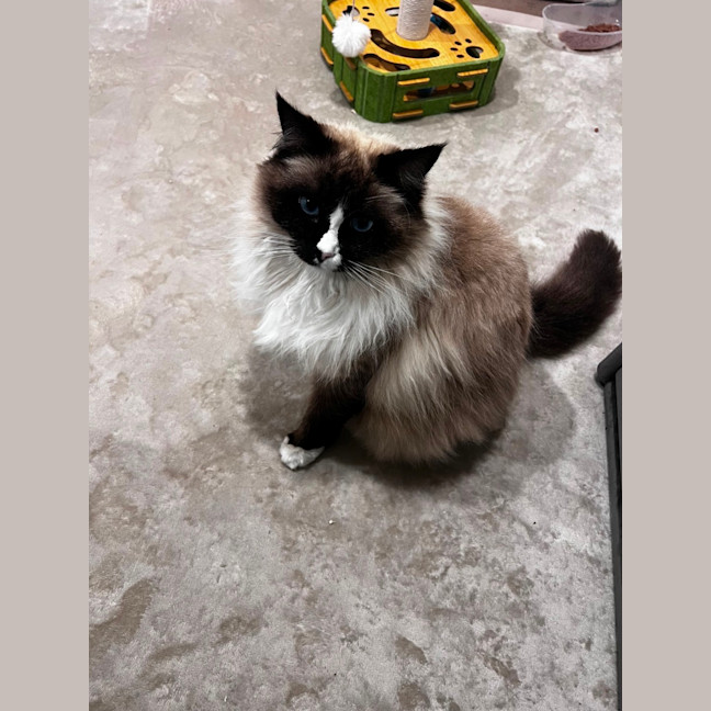 Photo of Oliver