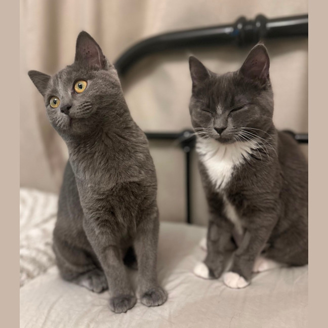 Photo of Hazel And Violet 