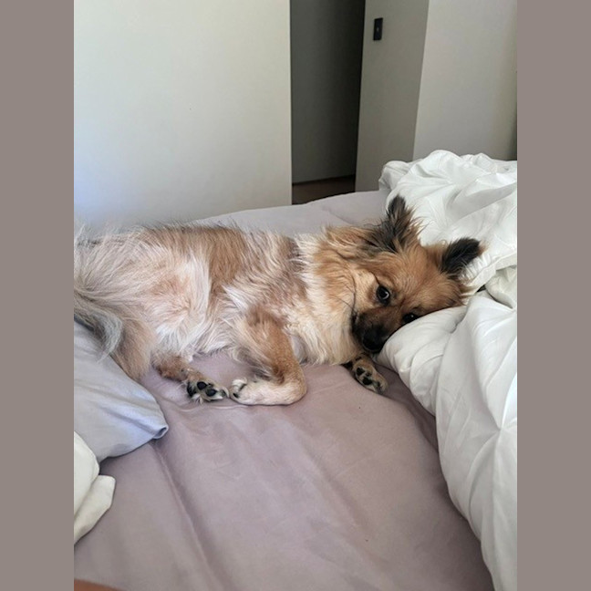 Photo of Blossom