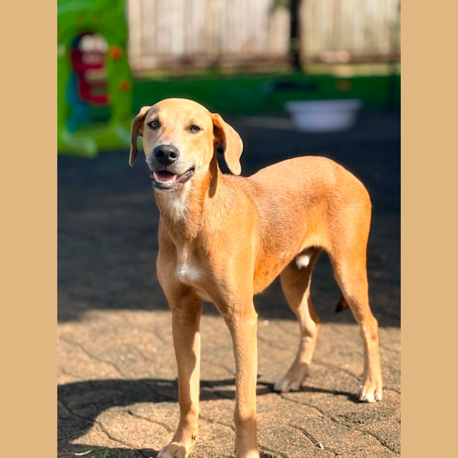 Photo of Archer