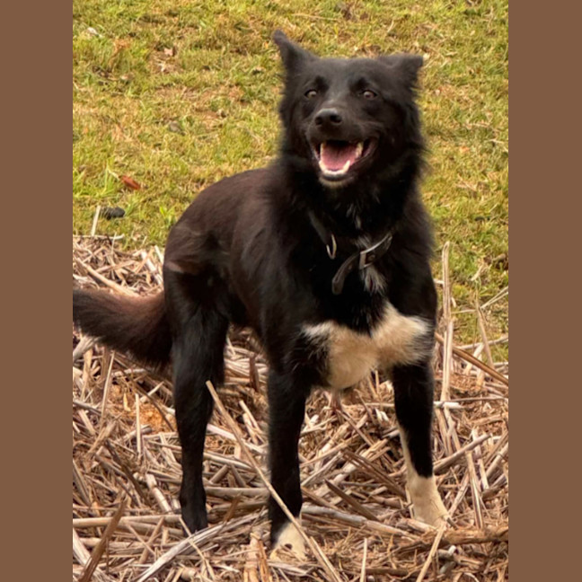 Photo of Tank