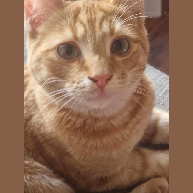 Photo of Thor