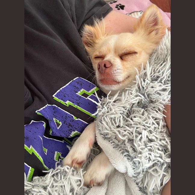 Photo of Oscar