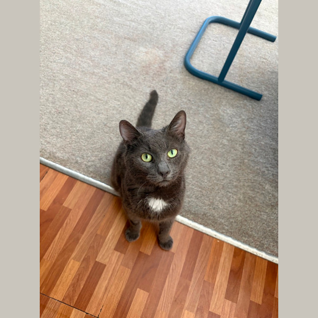 Photo of Ralph